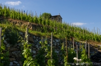 Vignoble Cornas, Ardèche